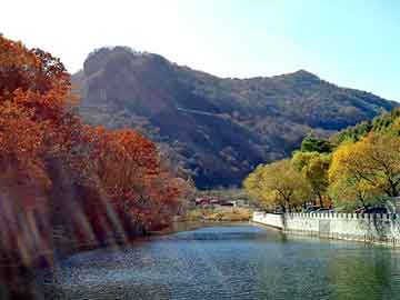 新澳天天开奖资料大全旅游团，圣王纵横